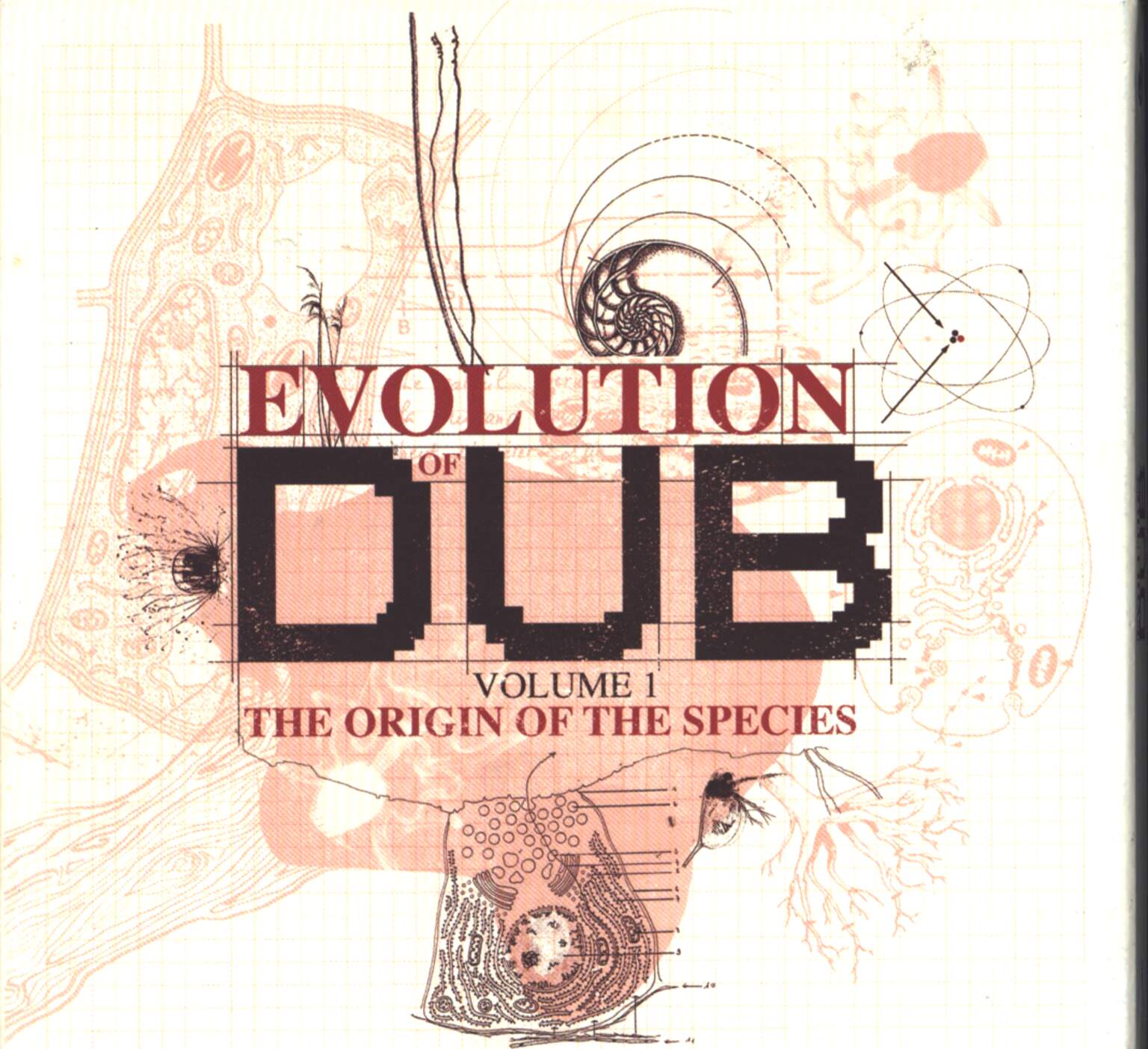 Various: Evolution Of Dub Volume 1 (The Origin Of The Species)