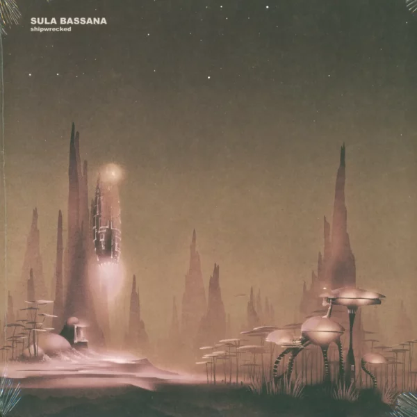 Sula Bassana: Shipwrecked