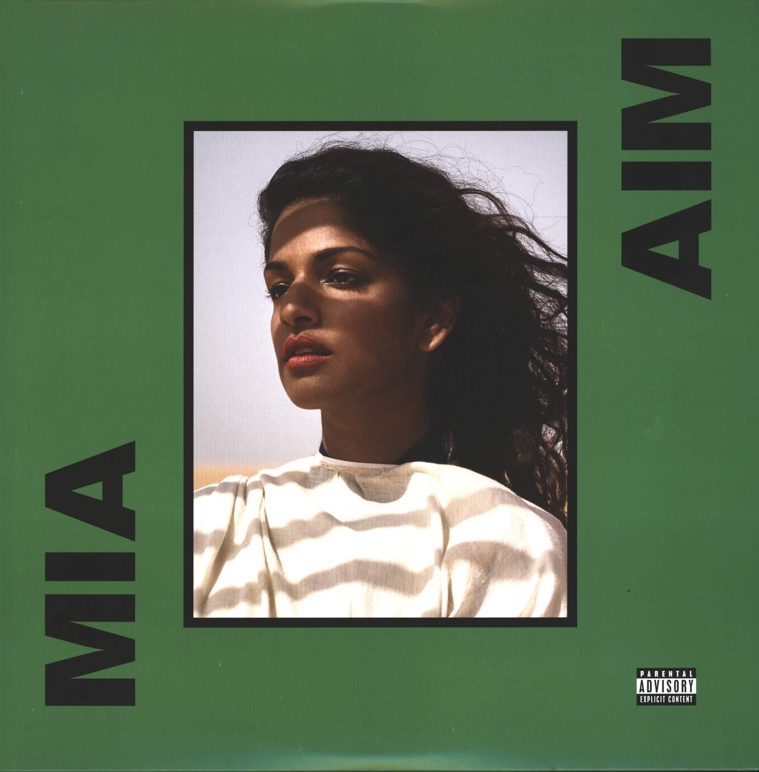 M.I.A.: AIM