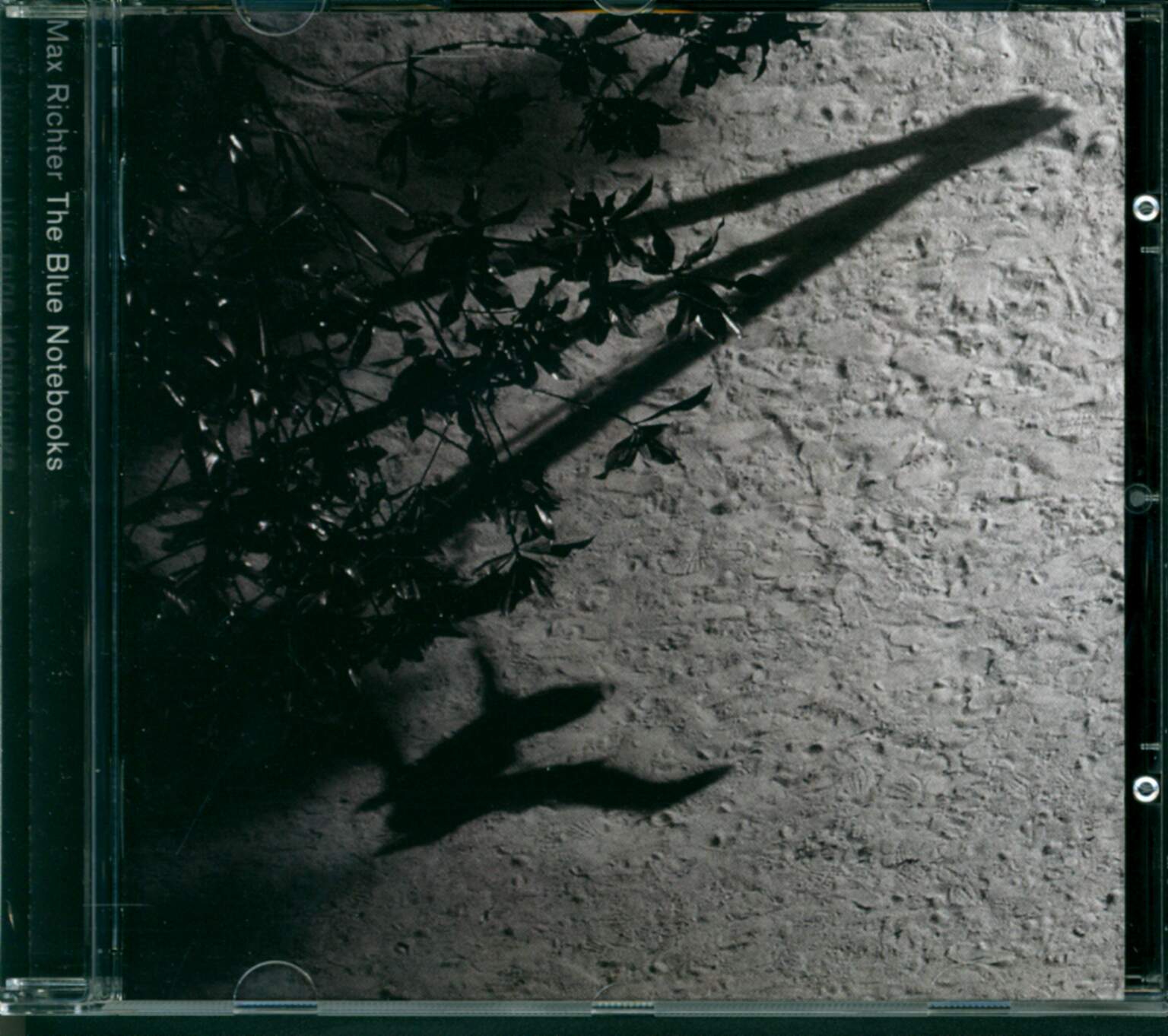 Max Richter: The Blue Notebooks