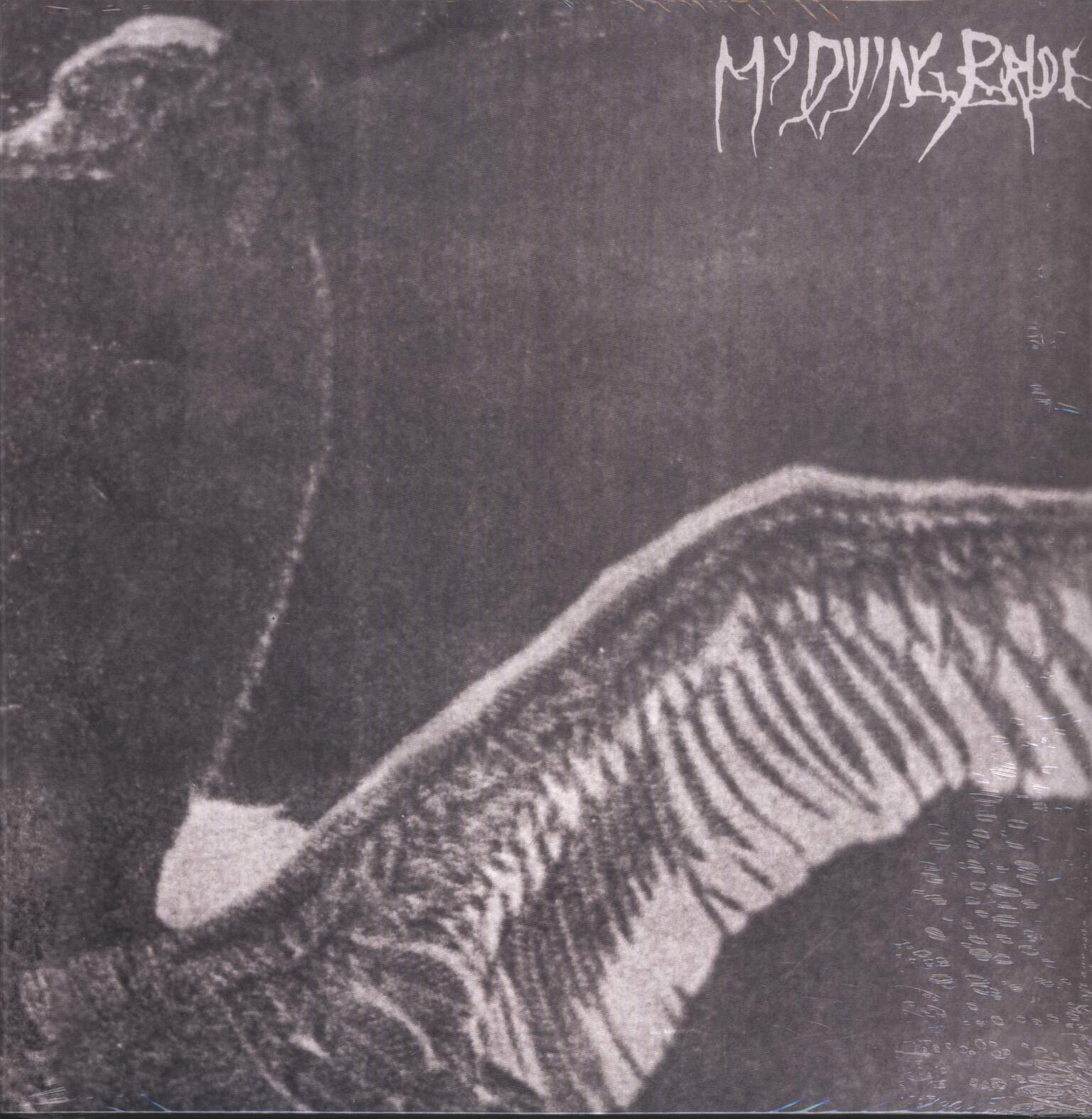 My Dying Bride: Turn Loose The Swans