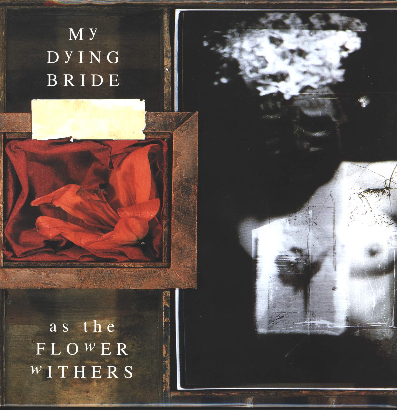My Dying Bride: As The Flower Withers