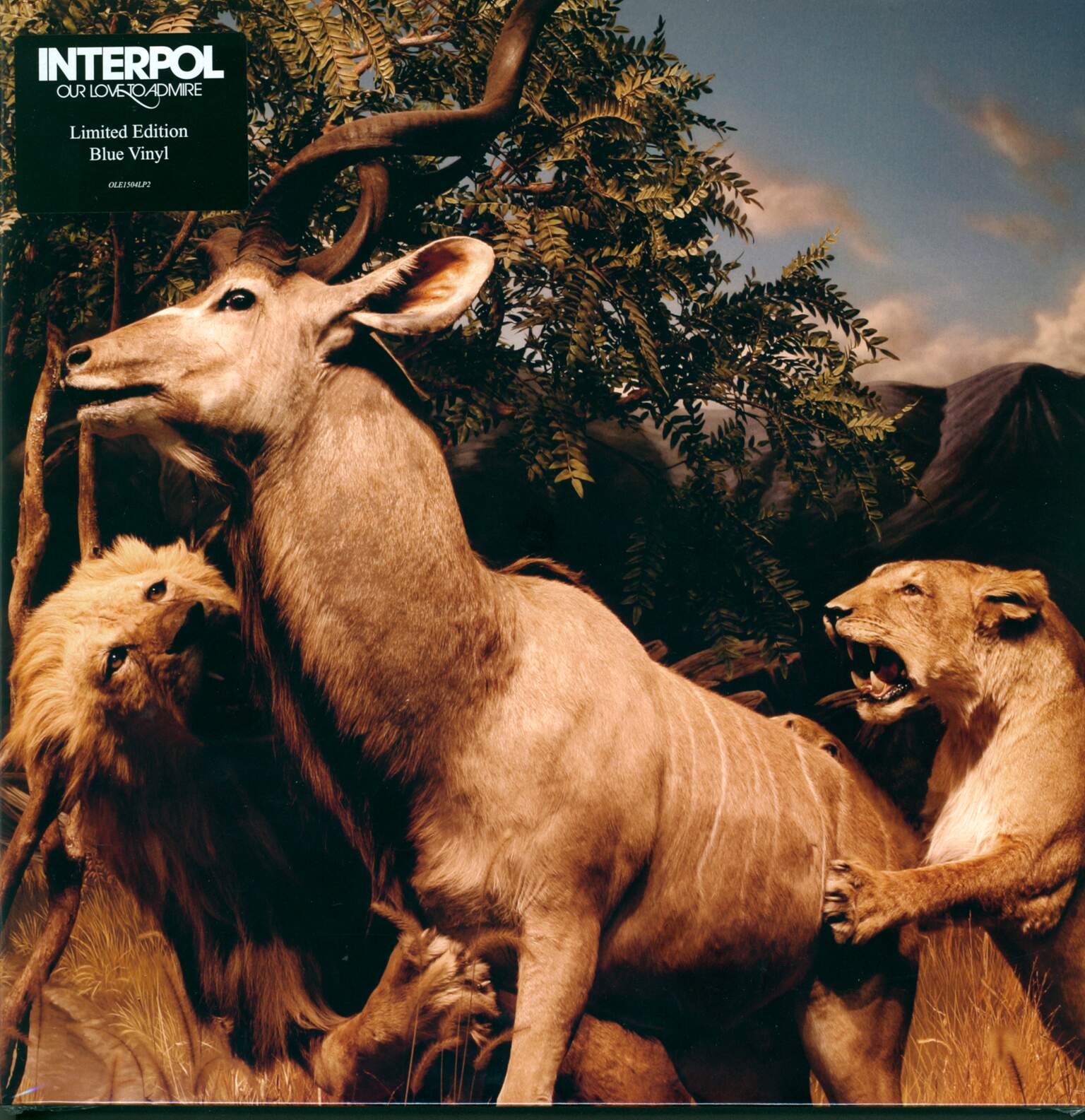 Interpol: Our Love To Admire