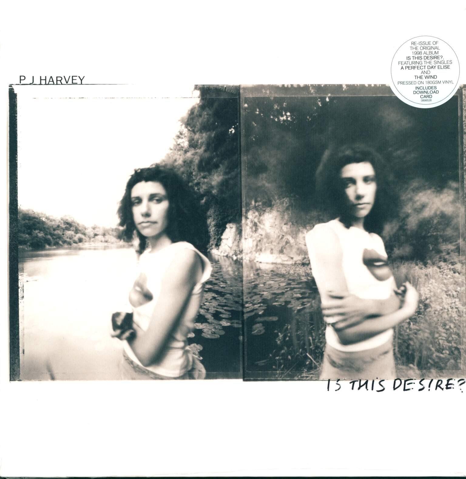PJ Harvey: Is This Desire?