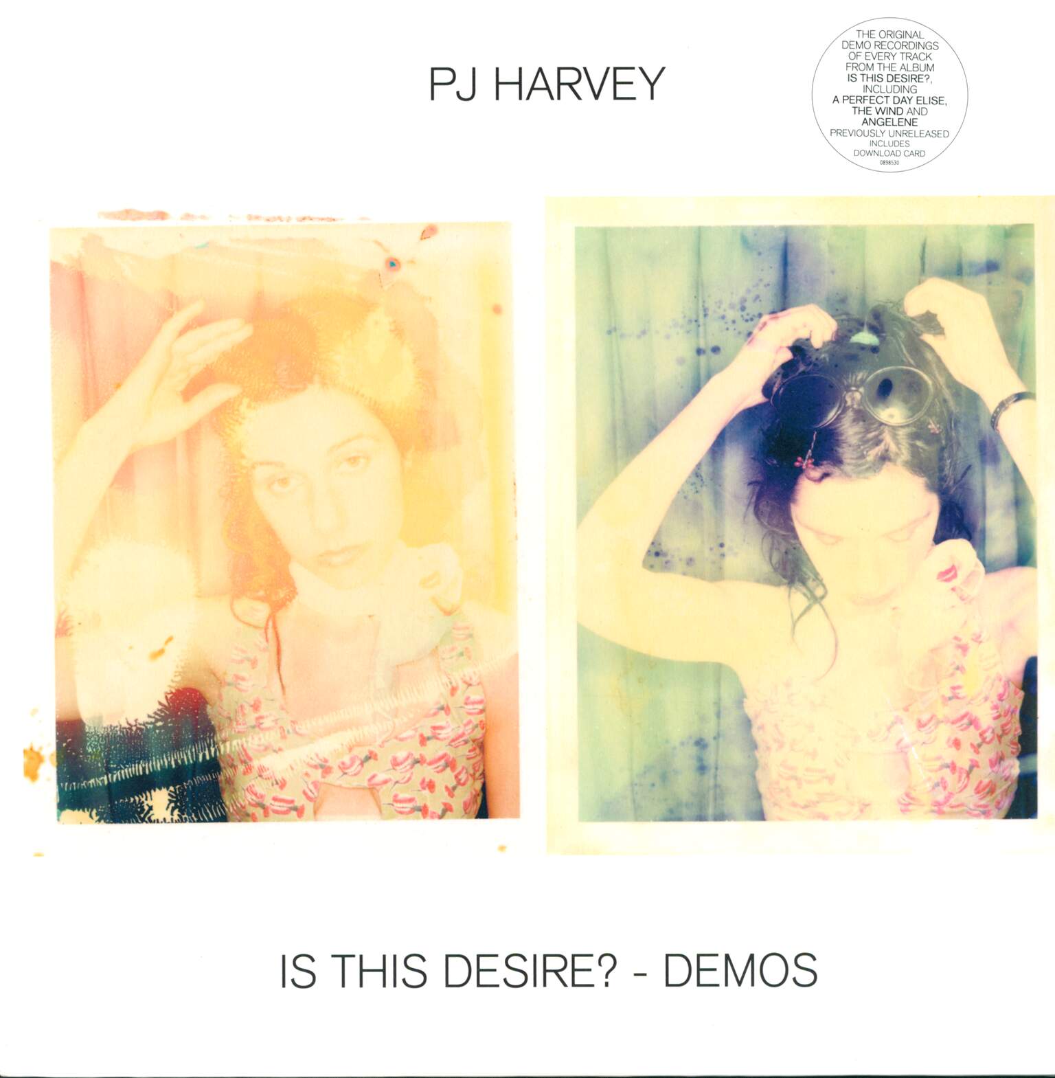 PJ Harvey: Is This Desire? - Demos