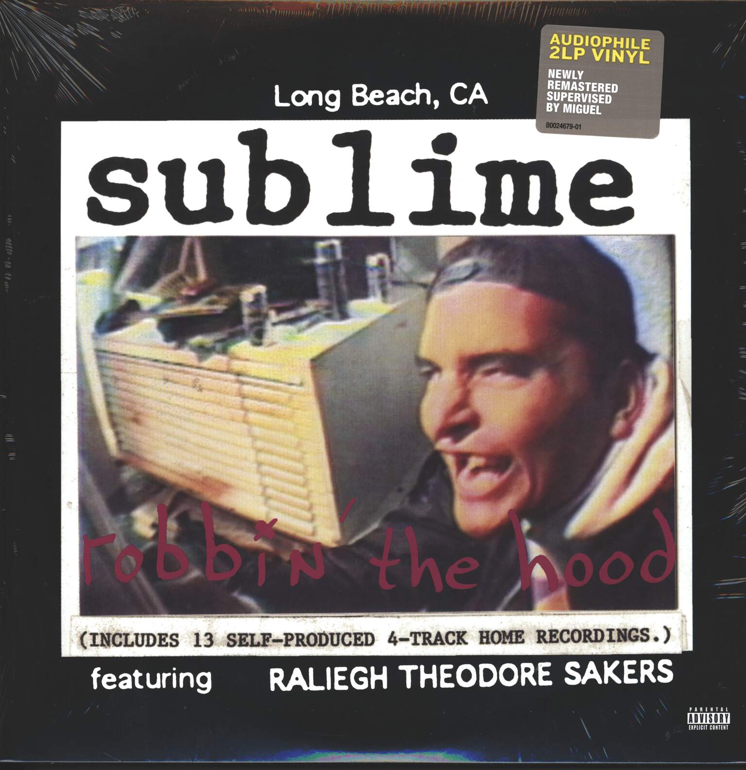 Sublime / Raliegh Theodore Sakers: Robbin' The Hood