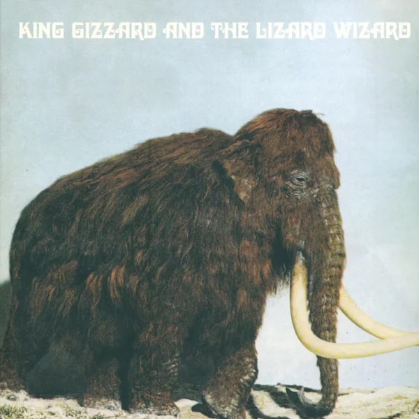 King Gizzard And The Lizard Wizard: Polygondwanaland