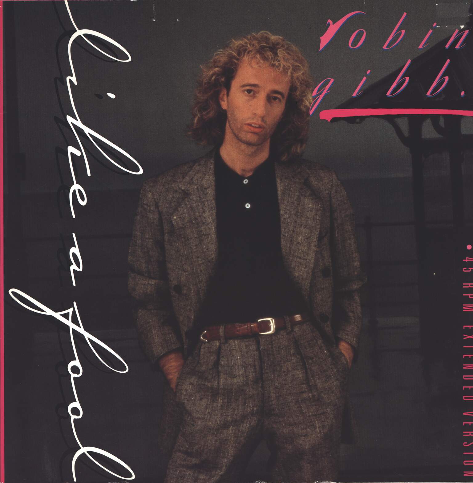 Robin Gibb: Like A Fool