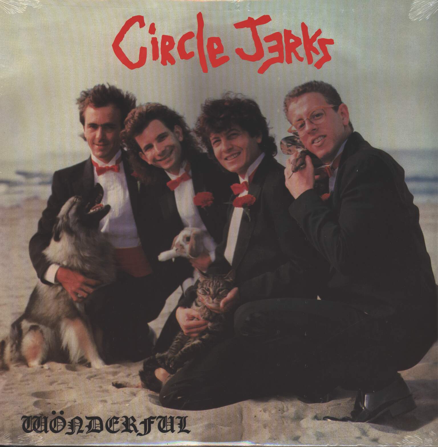 Circle Jerks: Wonderful