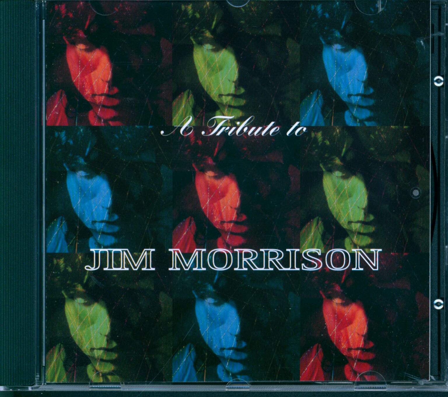 Various: Lizard King: A Tribute To Jim Morrison