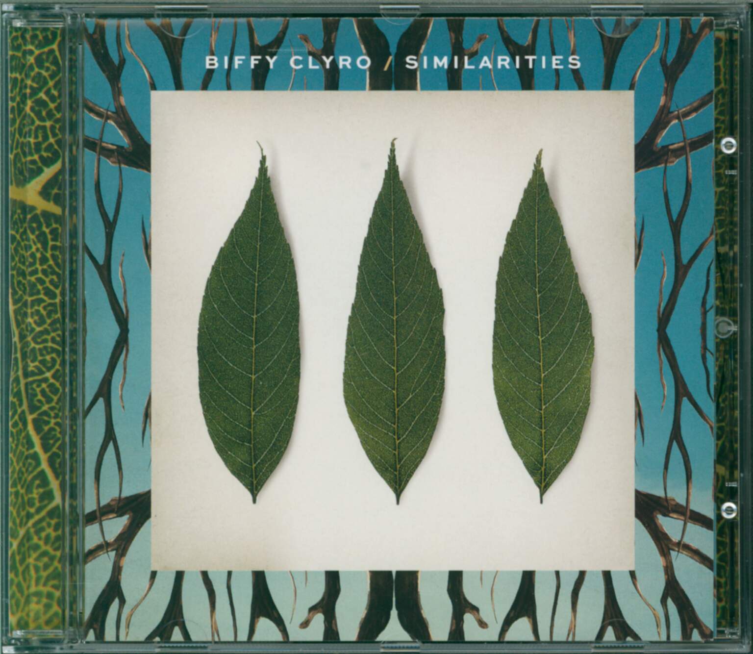 Biffy Clyro: Similarities