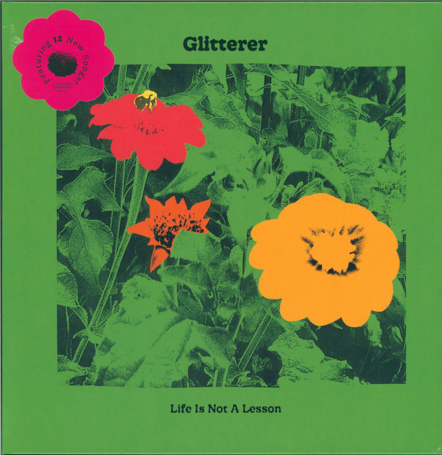 Glitterer: Life Is Not A Lesson