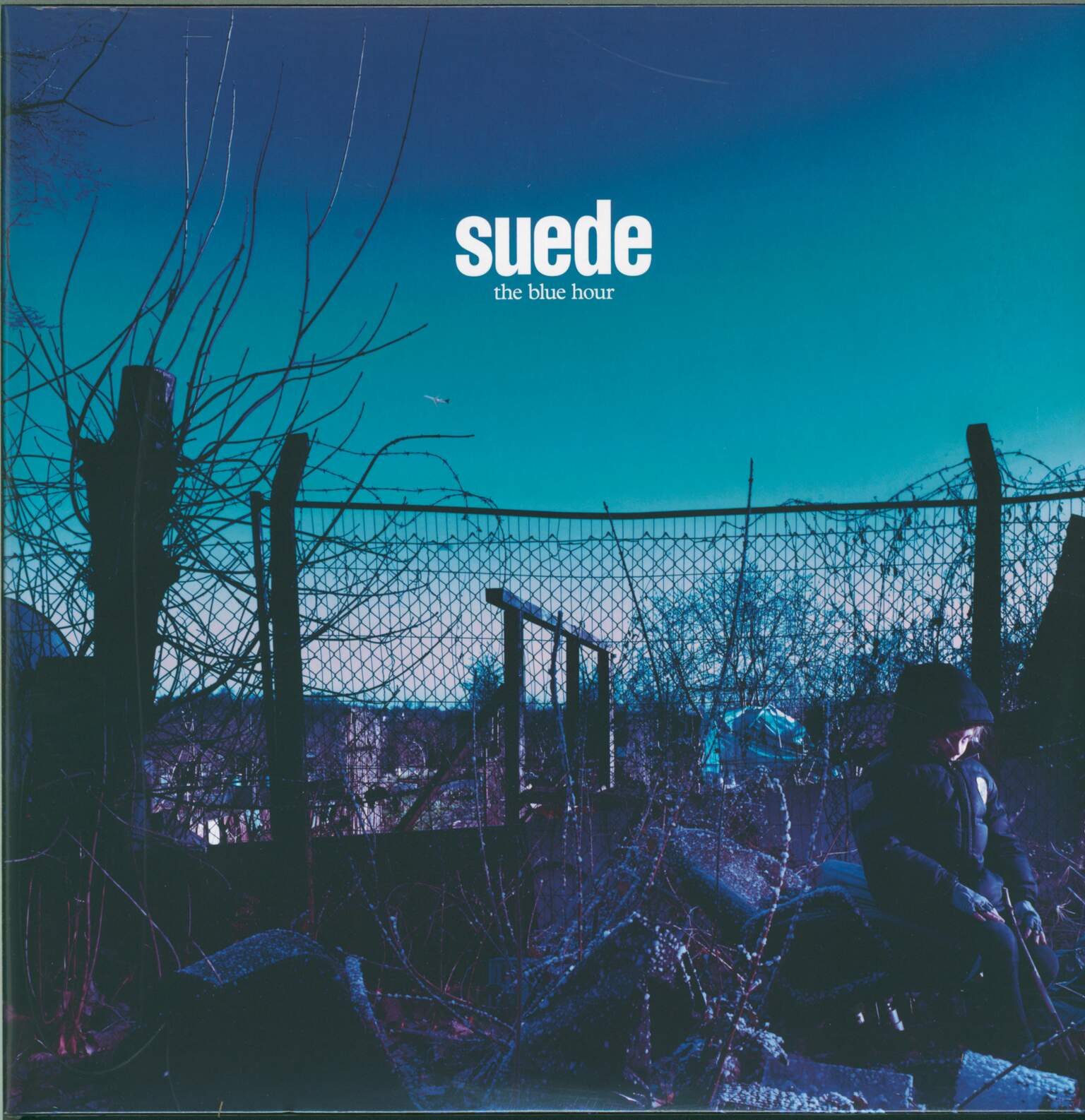 Suede: The Blue Hour