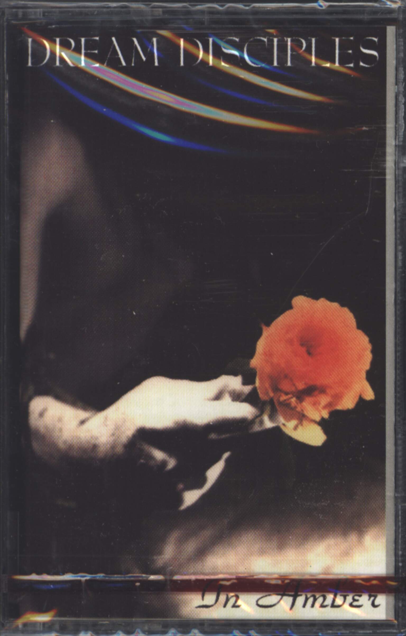 The Dream Disciples: In Amber