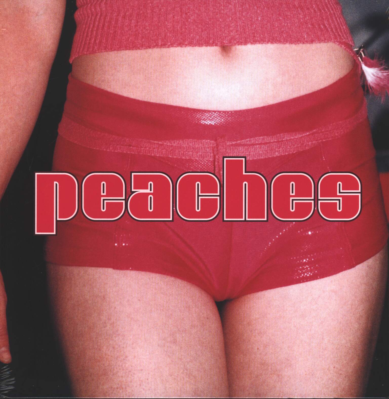 Peaches: The Teaches Of Peaches