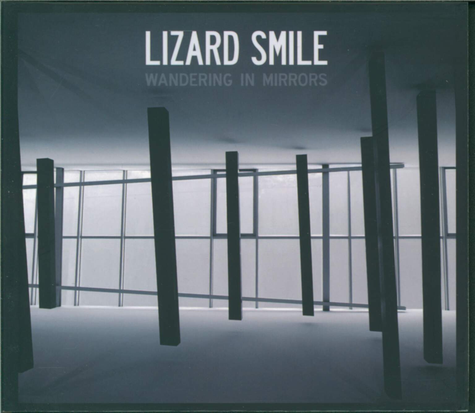 Lizard Smile: Wandering In Mirrors