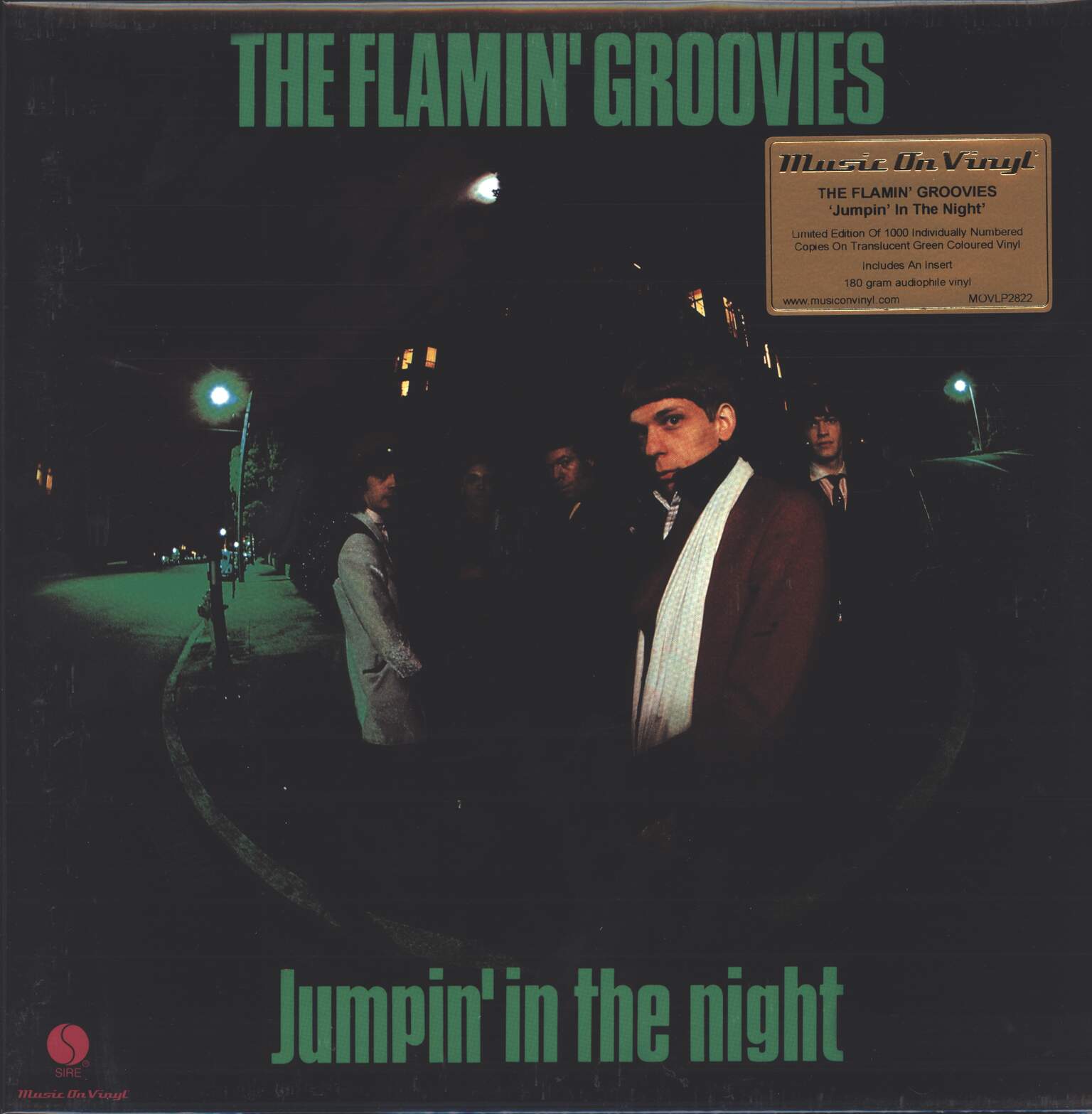 The Flamin' Groovies: Jumpin' In The Night