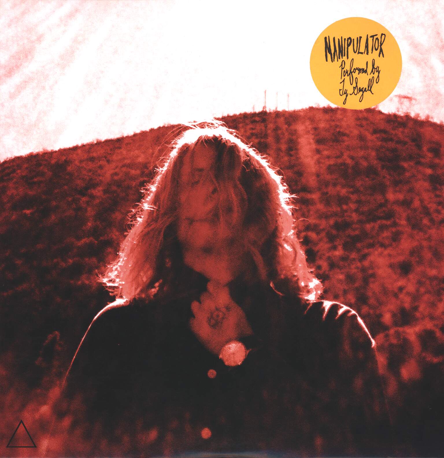 Ty Segall: Manipulator