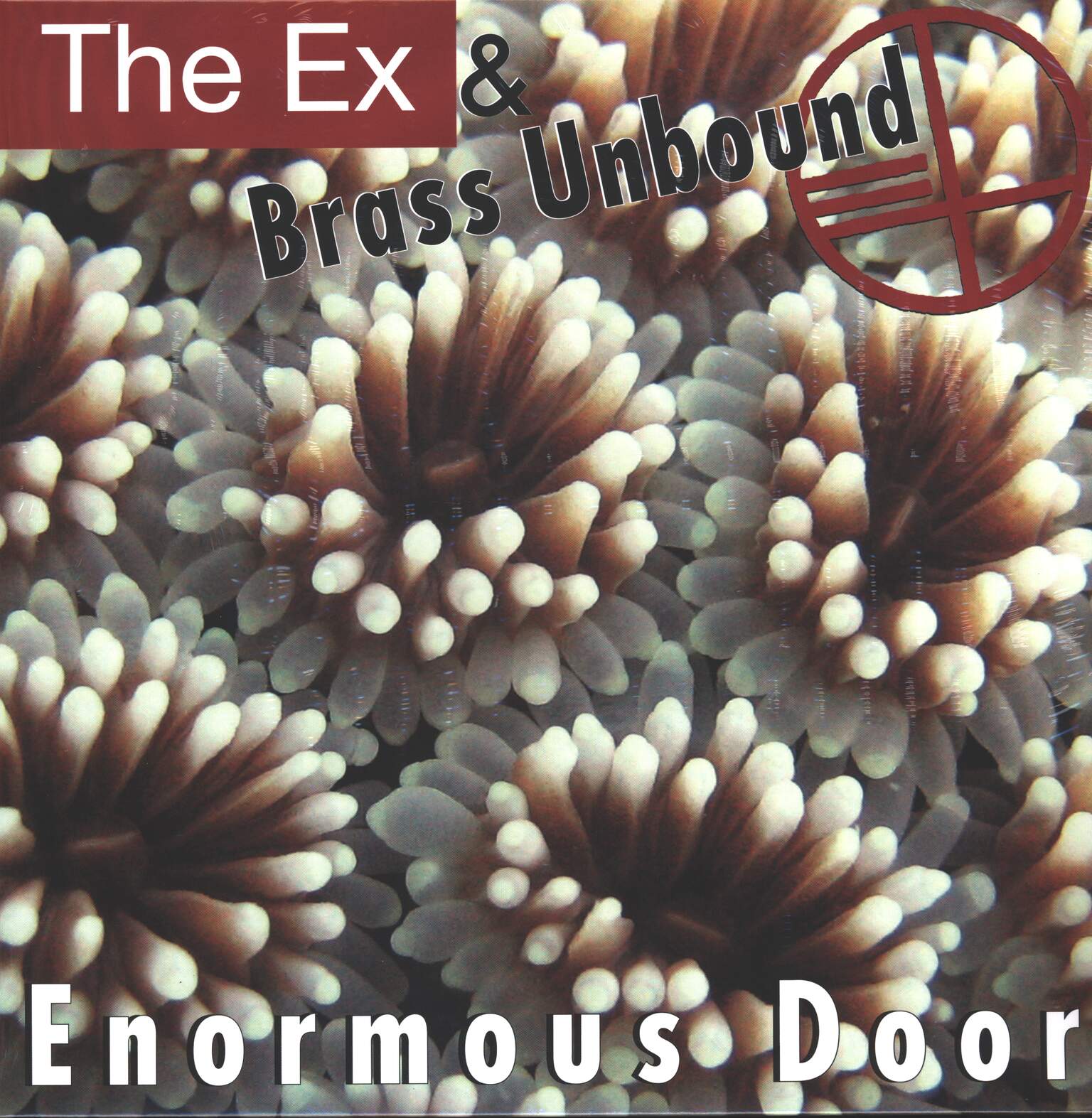 The Ex / Brass Unbound: Enormous Door
