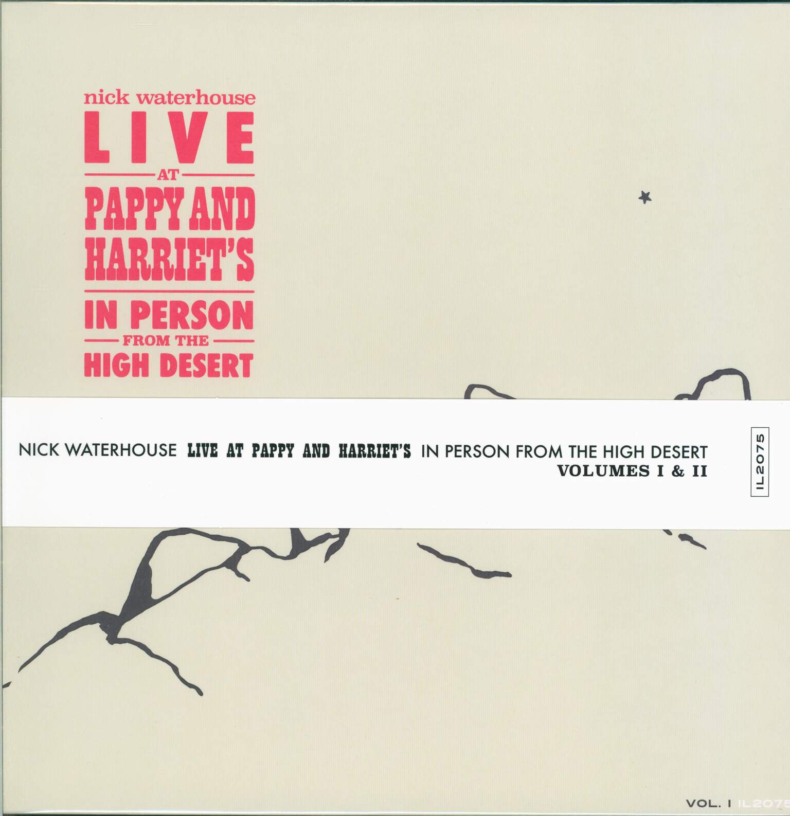 Nick Waterhouse: Live At Pappy & Harriet's: In Person From The High Desert - Vol. I & II