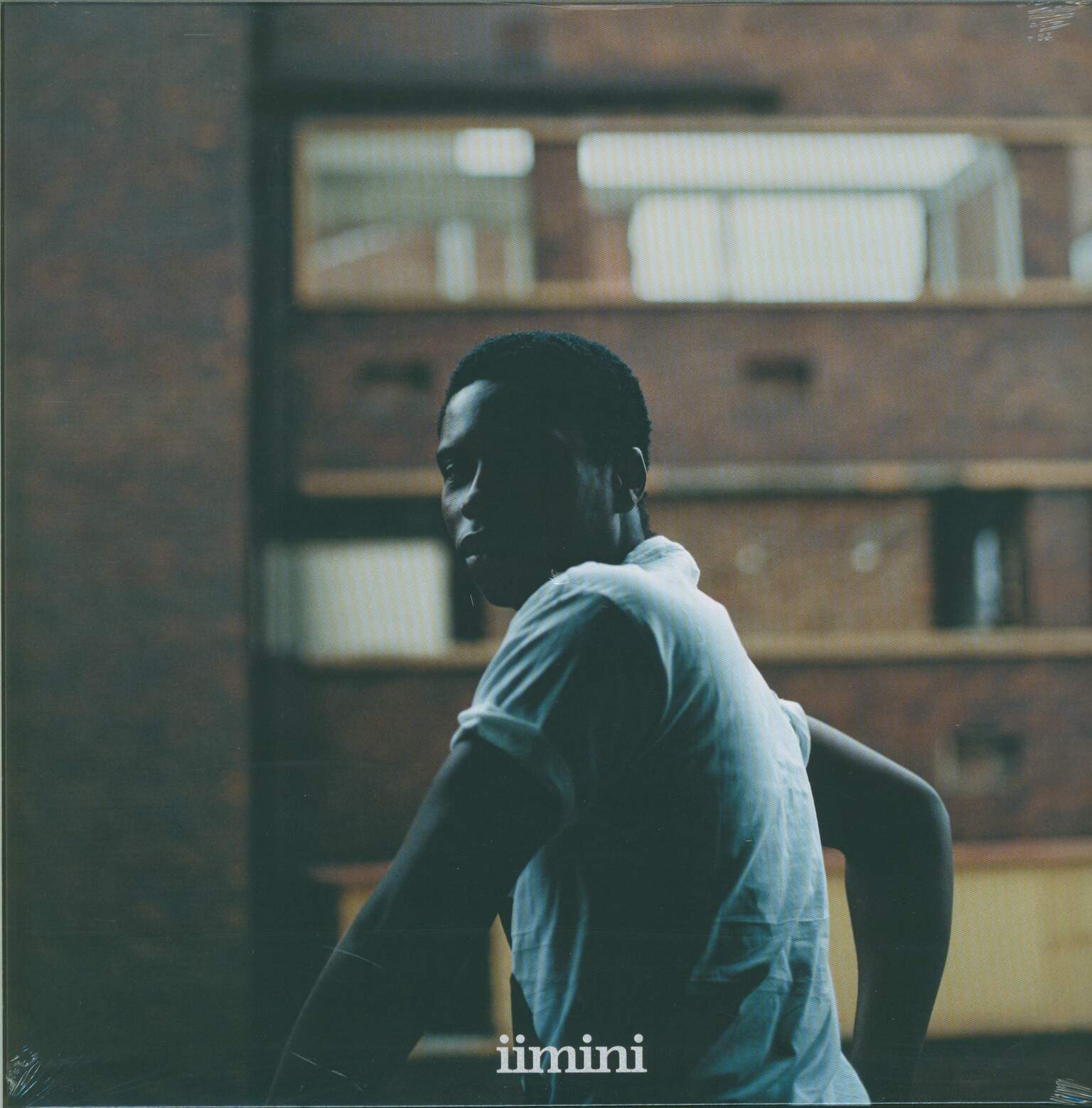 Bongeziwe Mabandla: Iimini