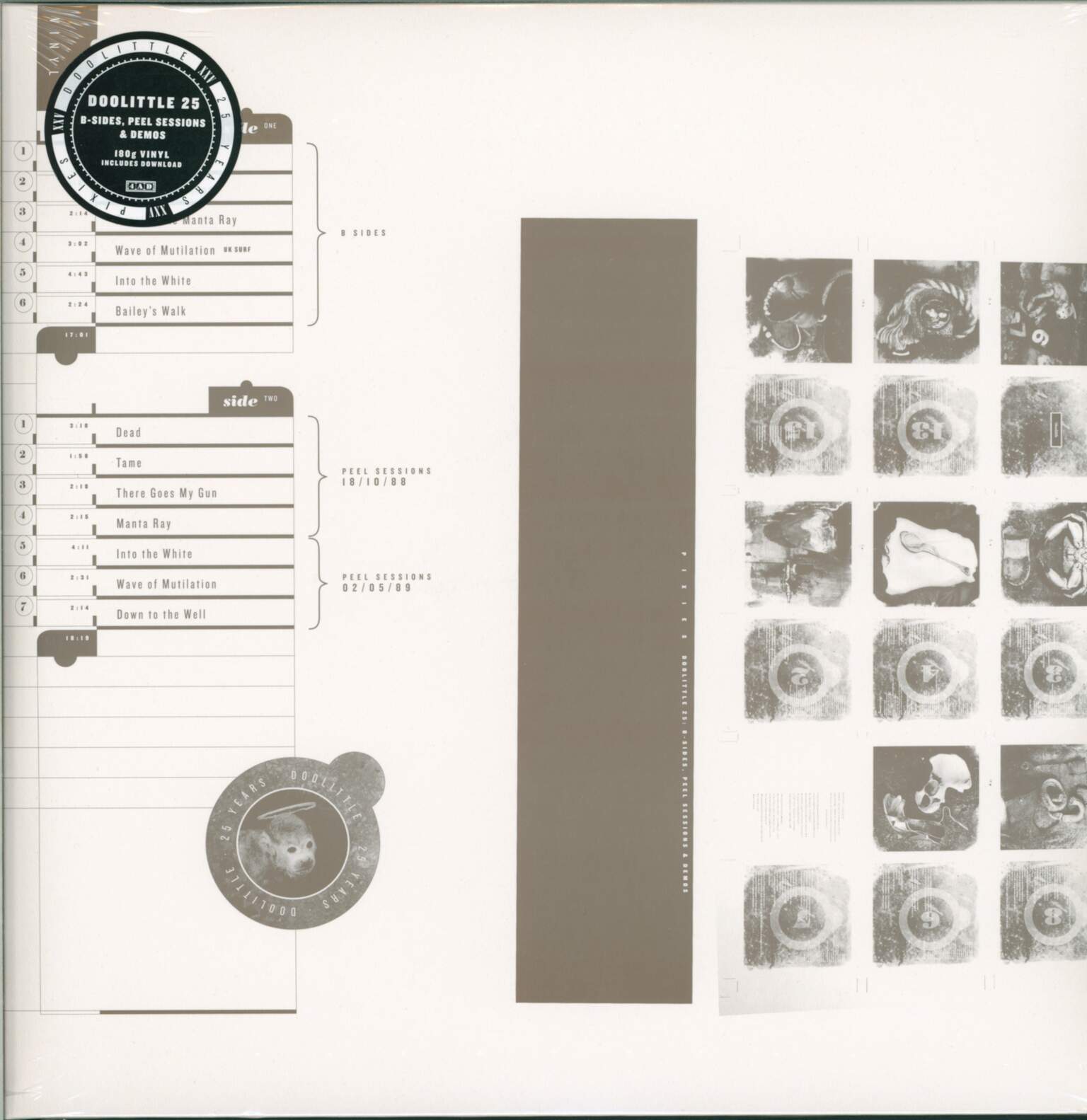 Pixies: Doolittle 25