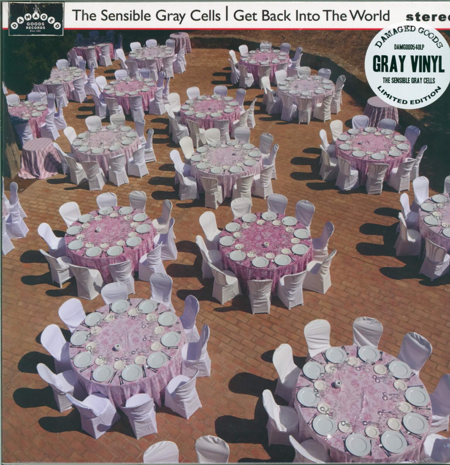 The Sensible Gray Cells: Get Back Into The World