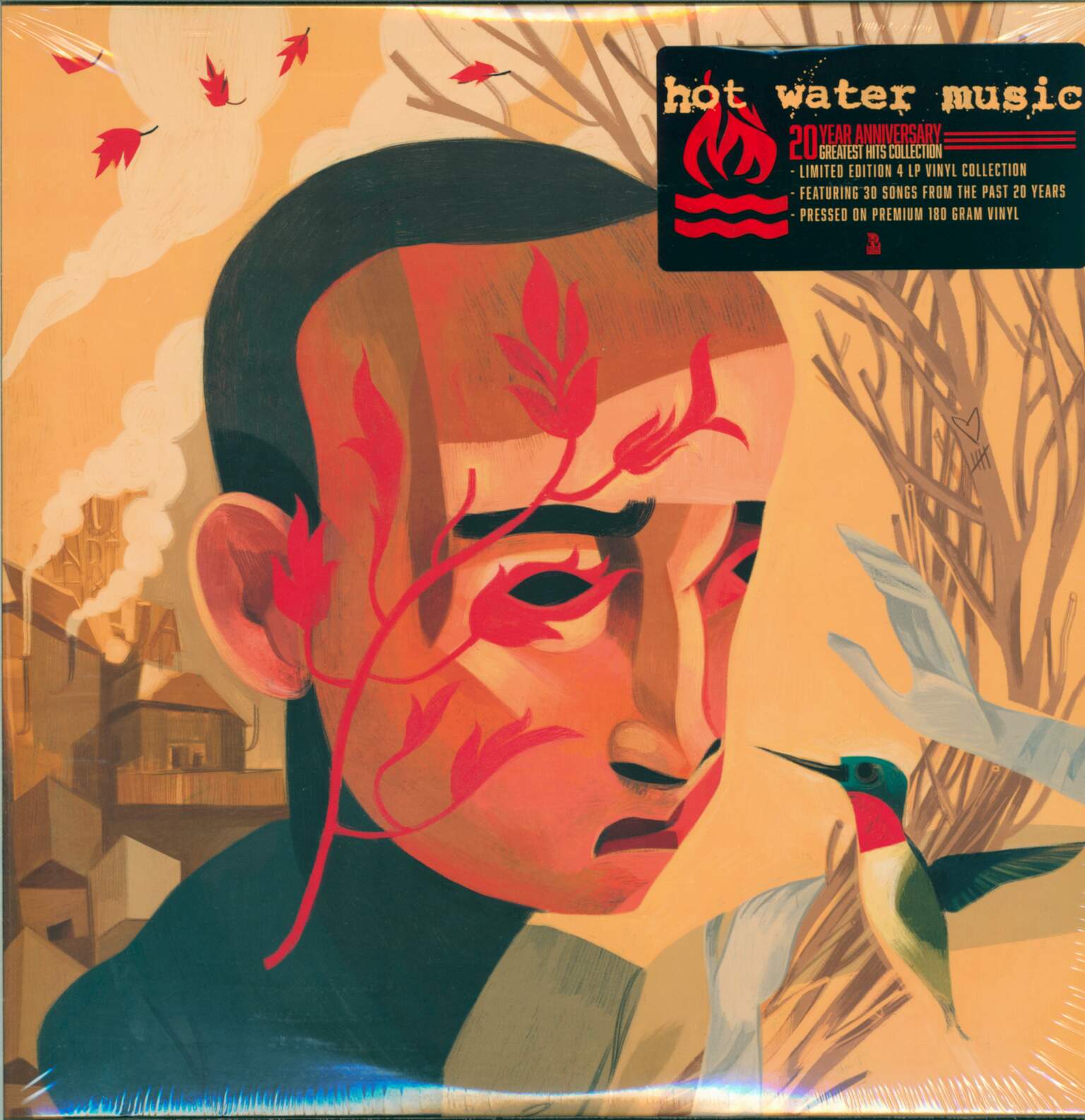 Hot Water Music: 20th Anniversary Collection