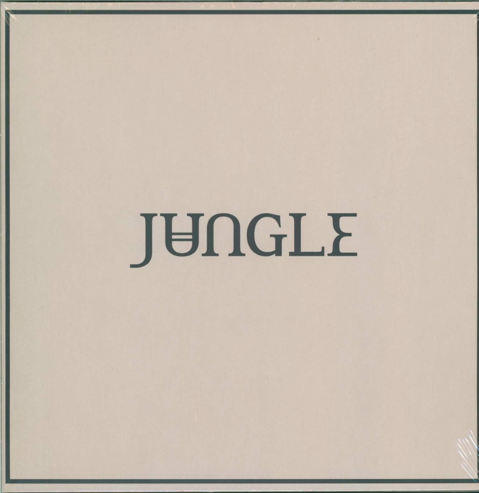 Jungle: Loving In Stereo