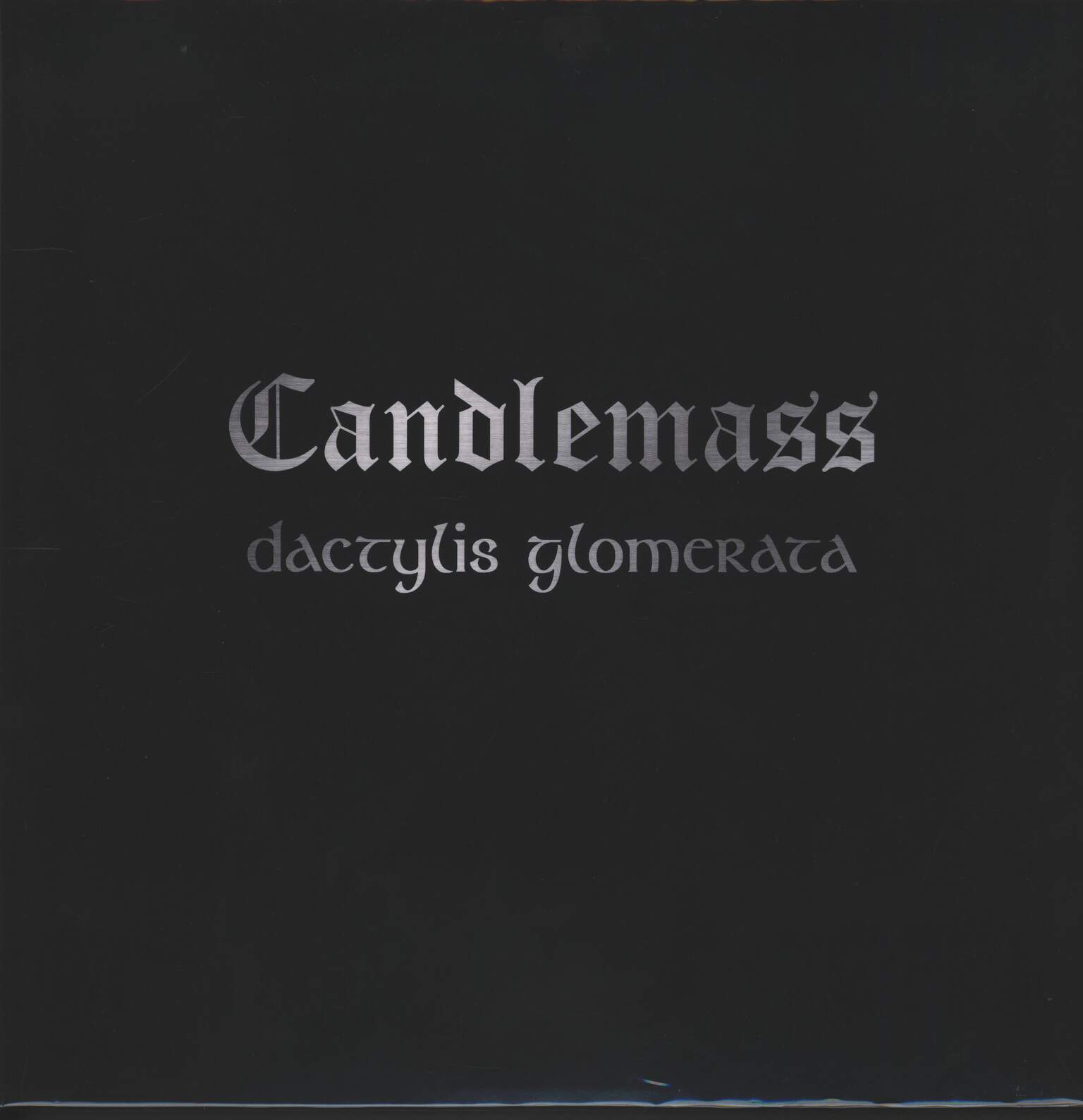 Candlemass: Dactylis Glomerata