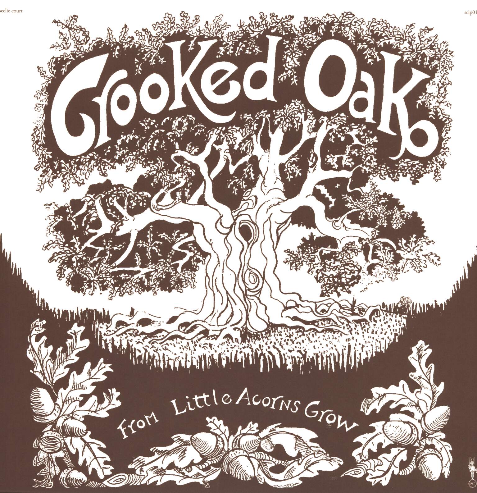 Crooked Oak: From Little Acorns Grow