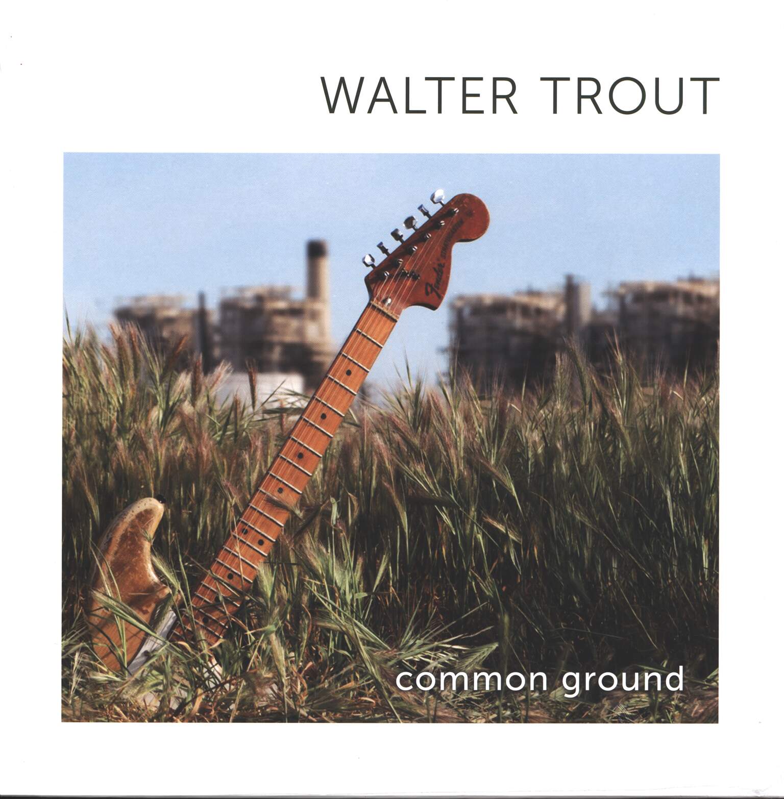 Walter Trout: Common Ground
