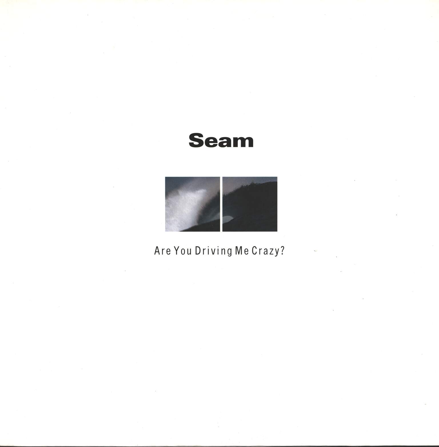 Seam: Are You Driving Me Crazy?