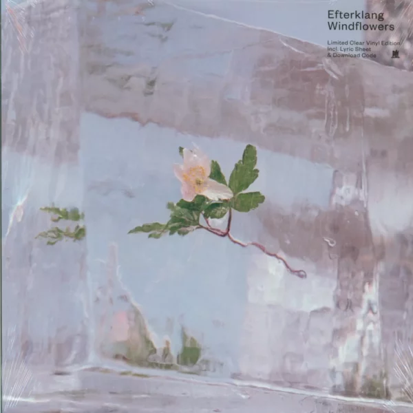 Efterklang: Windflowers