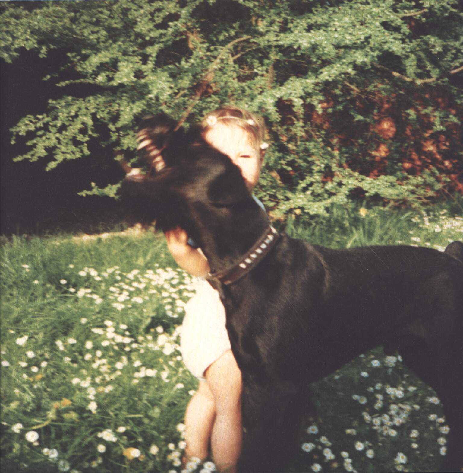 Lord Folter: 1992day