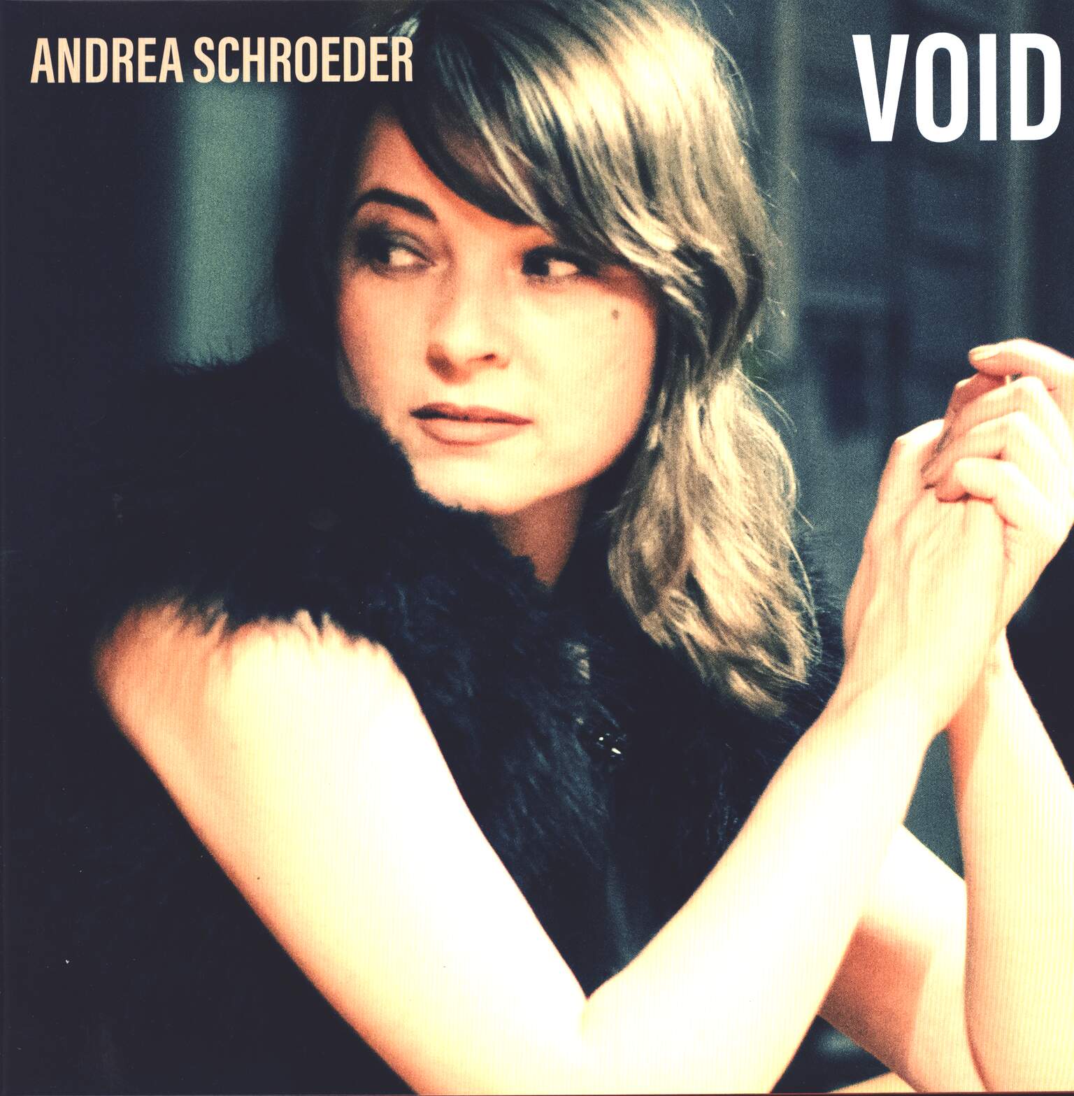 Andrea Schroeder: Void