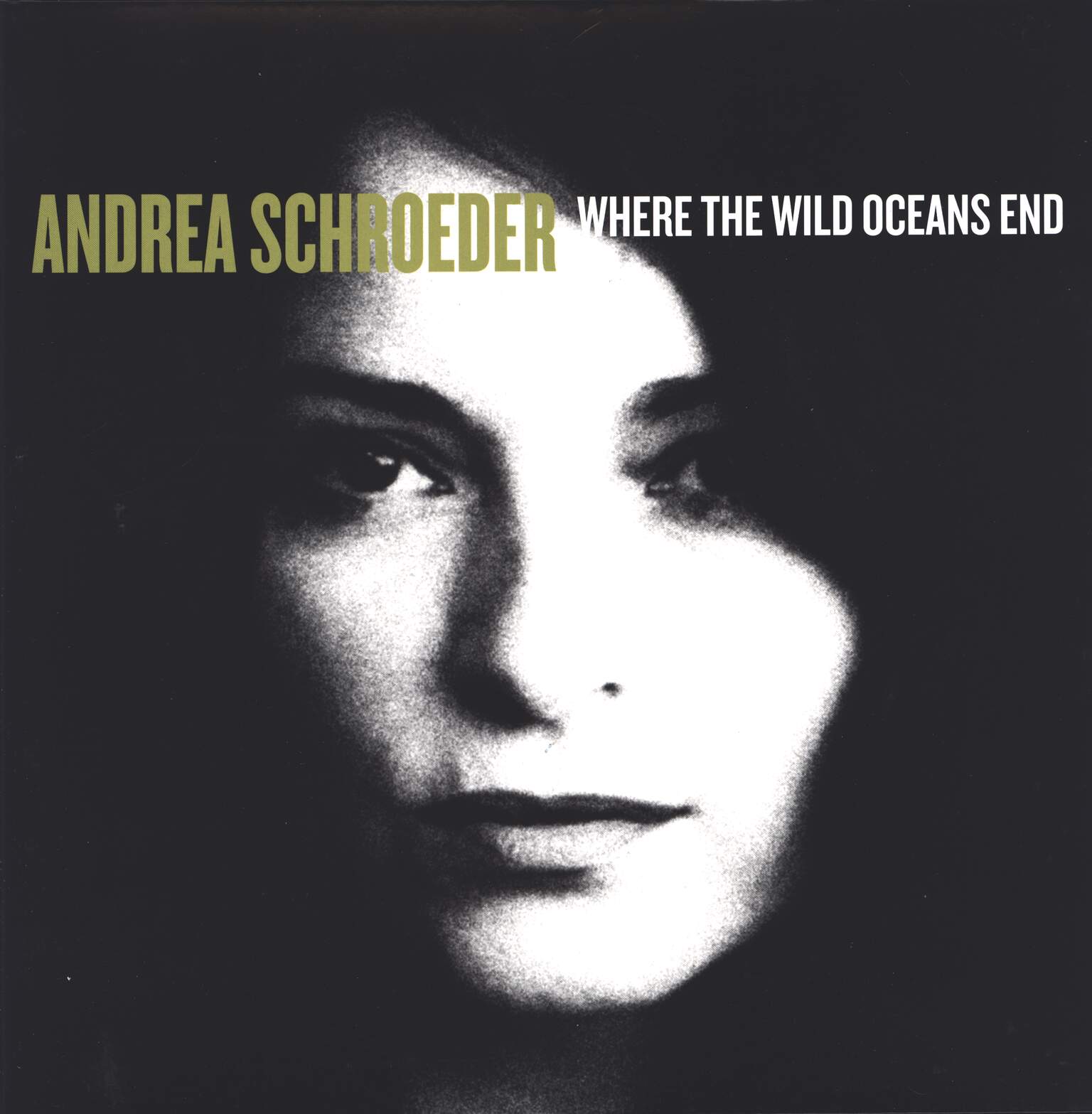 Andrea Schroeder: Where The Wild Oceans End