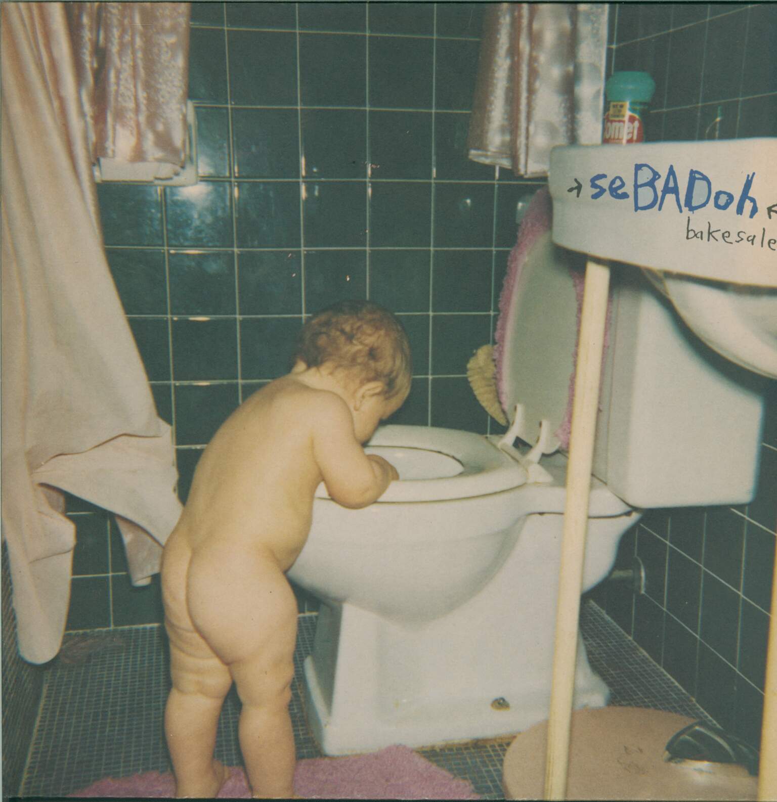 Sebadoh: Bakesale