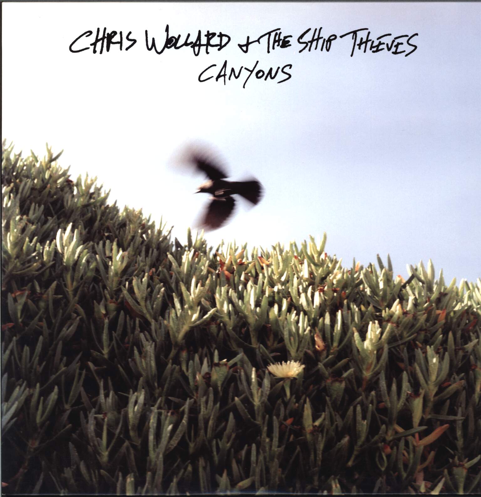 Chris Wollard & The Ship Thieves: Canyons