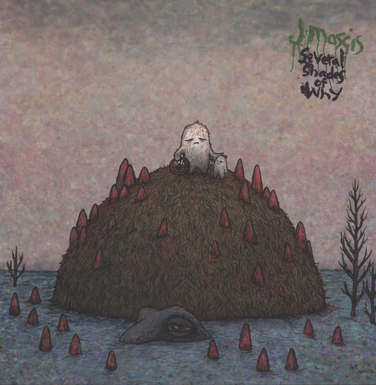 J Mascis: Several Shades Of Why