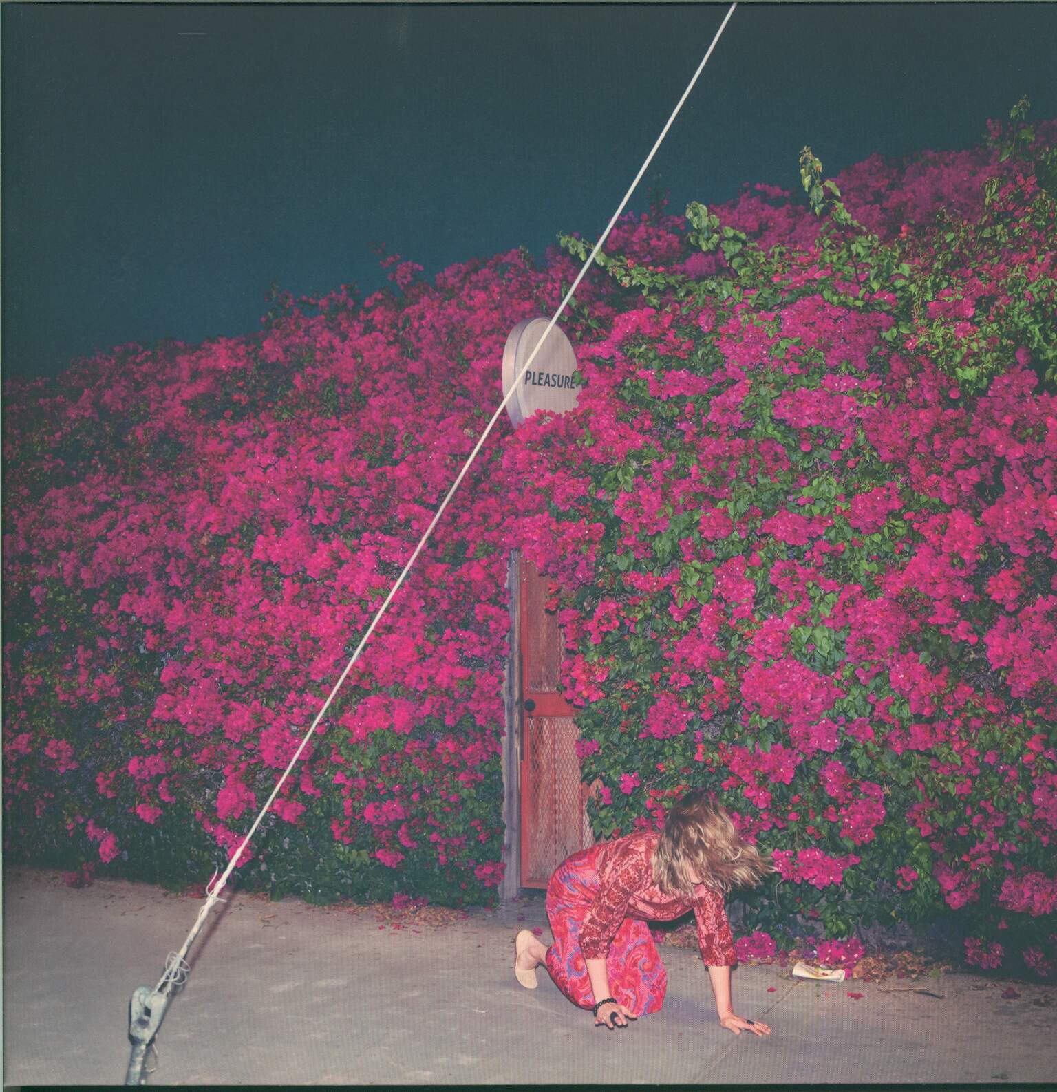 Feist: Pleasure