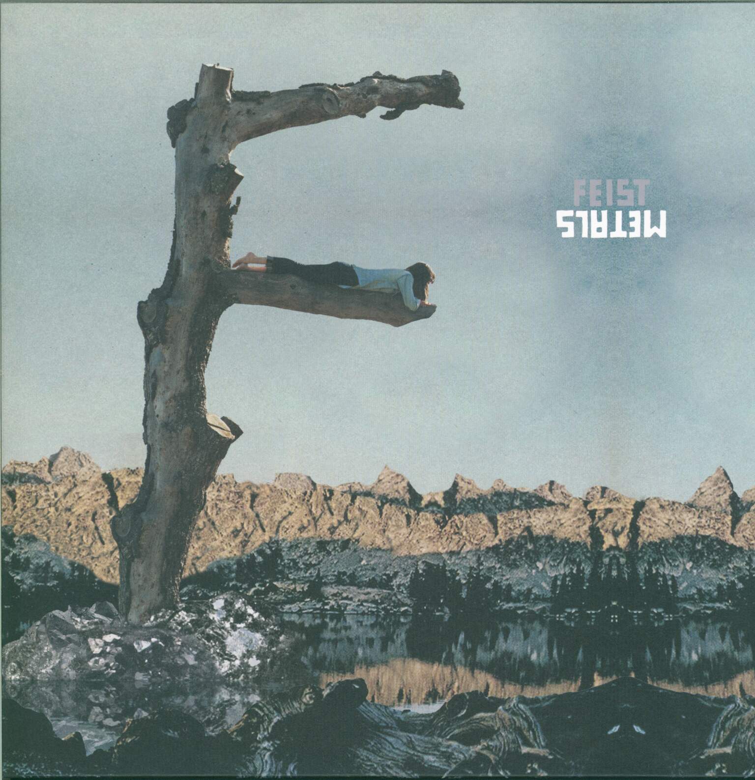 Feist: Metals