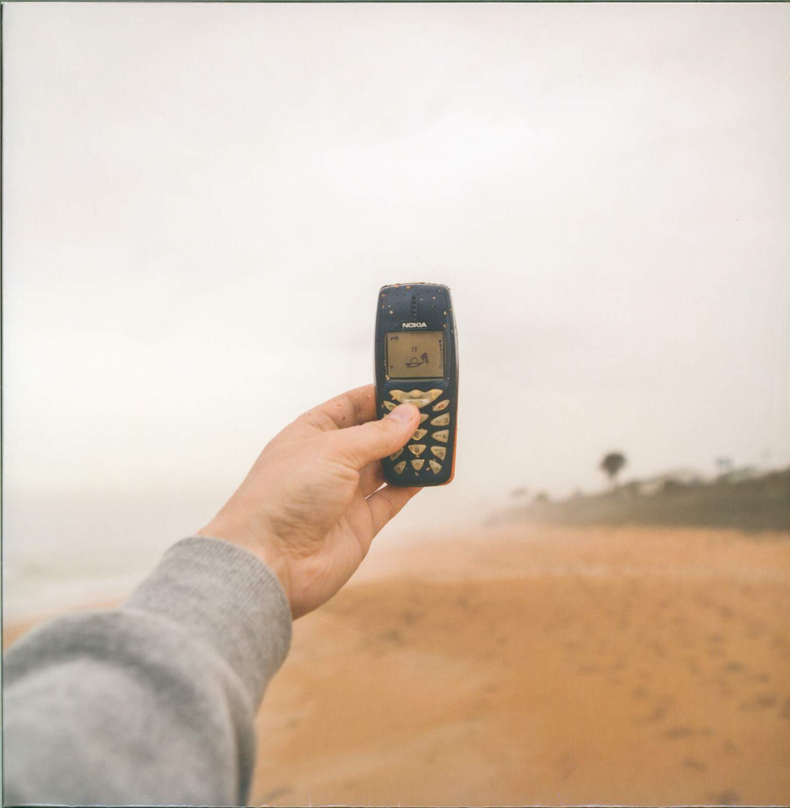T9: T9