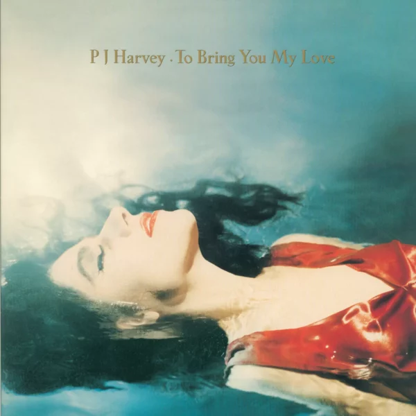 PJ Harvey: To Bring You My Love