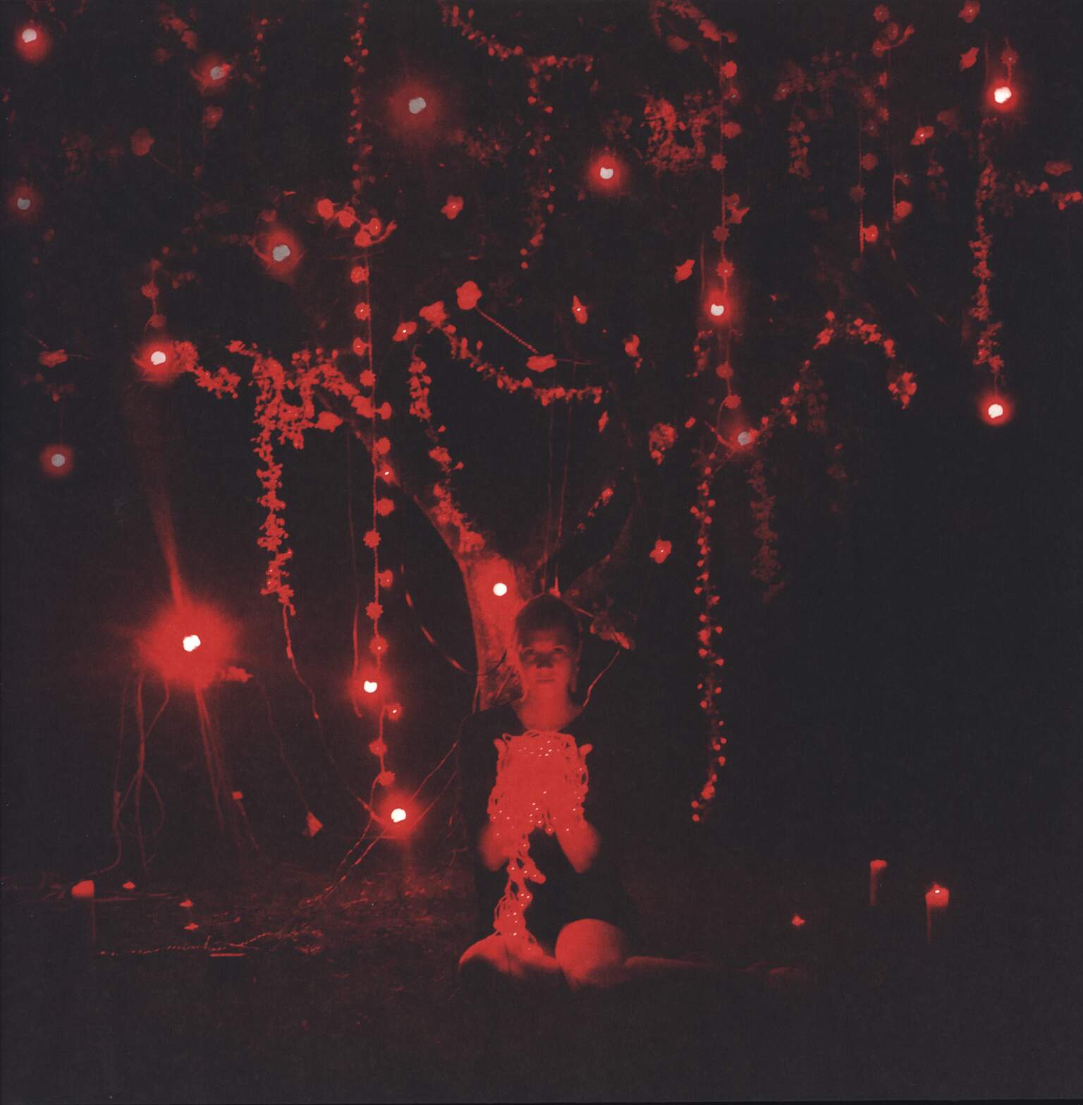 Sophie Hunger: The Danger Of Light