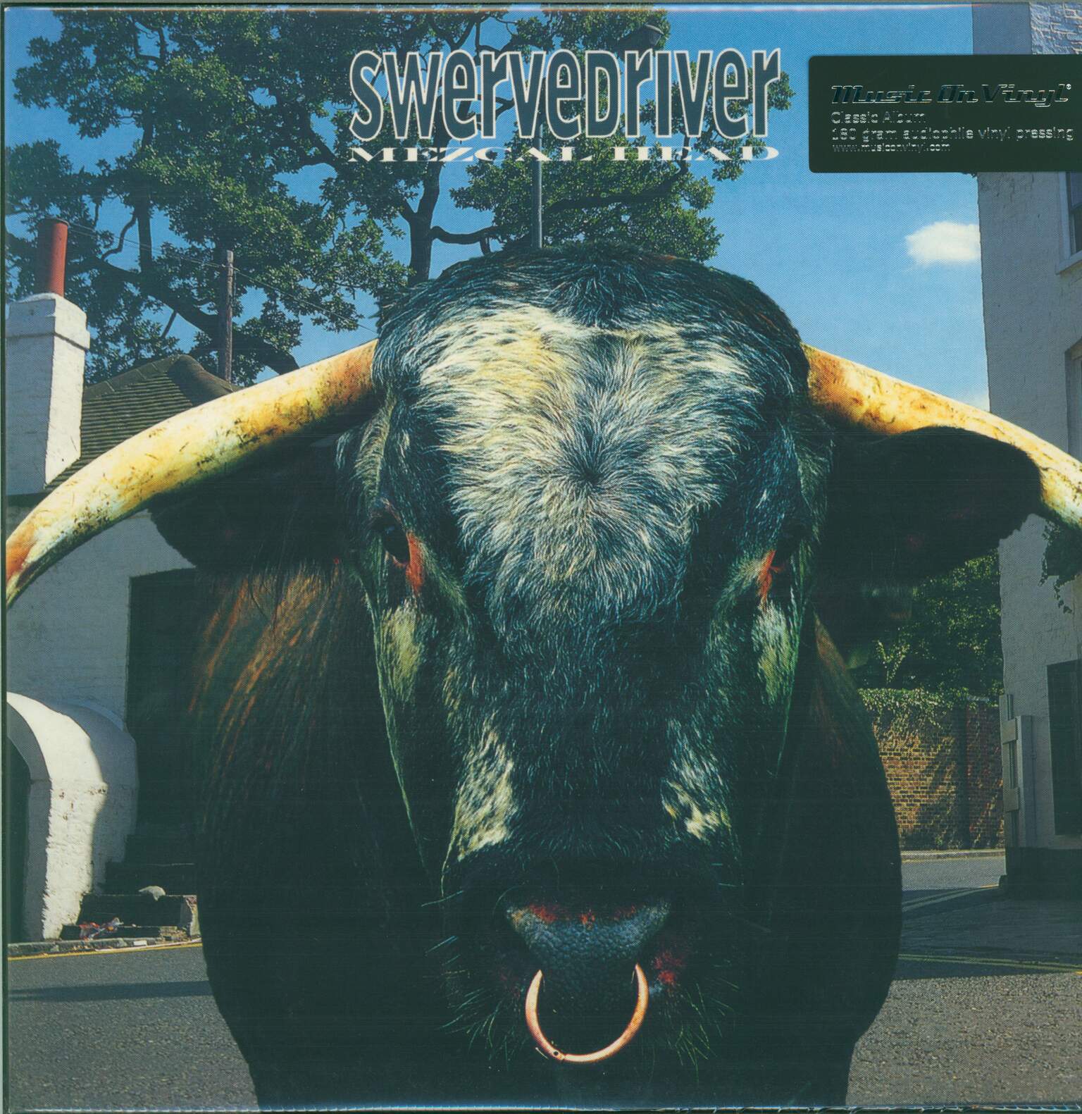 Swervedriver: Mezcal Head