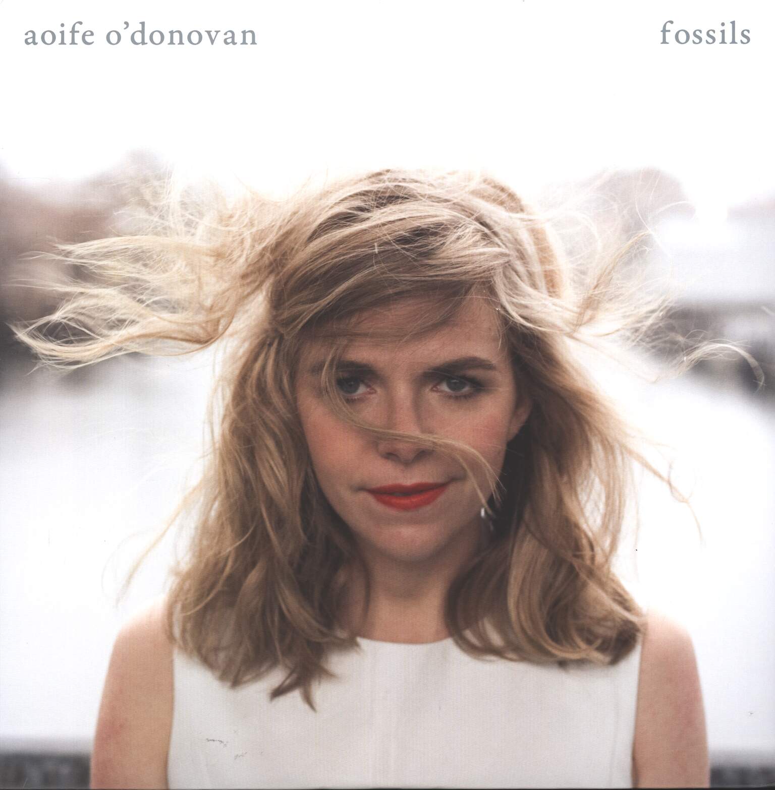 Aoife O'Donovan: Fossils