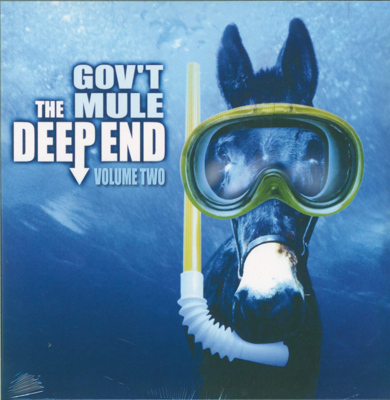 Gov't Mule: The Deep End Vol. 2