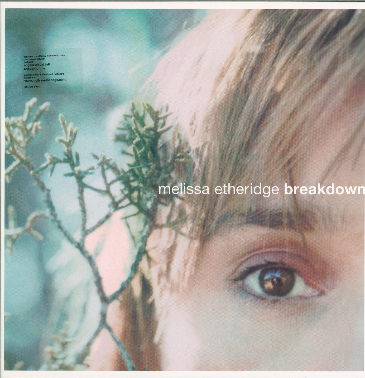 Melissa Etheridge: Breakdown