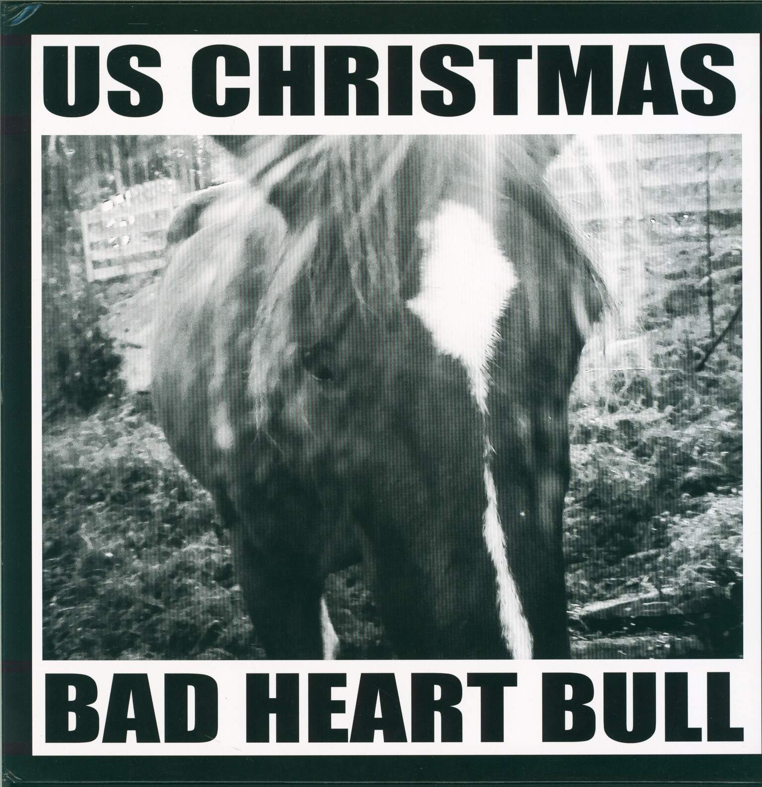 U.S. Christmas: Bad Heart Bull